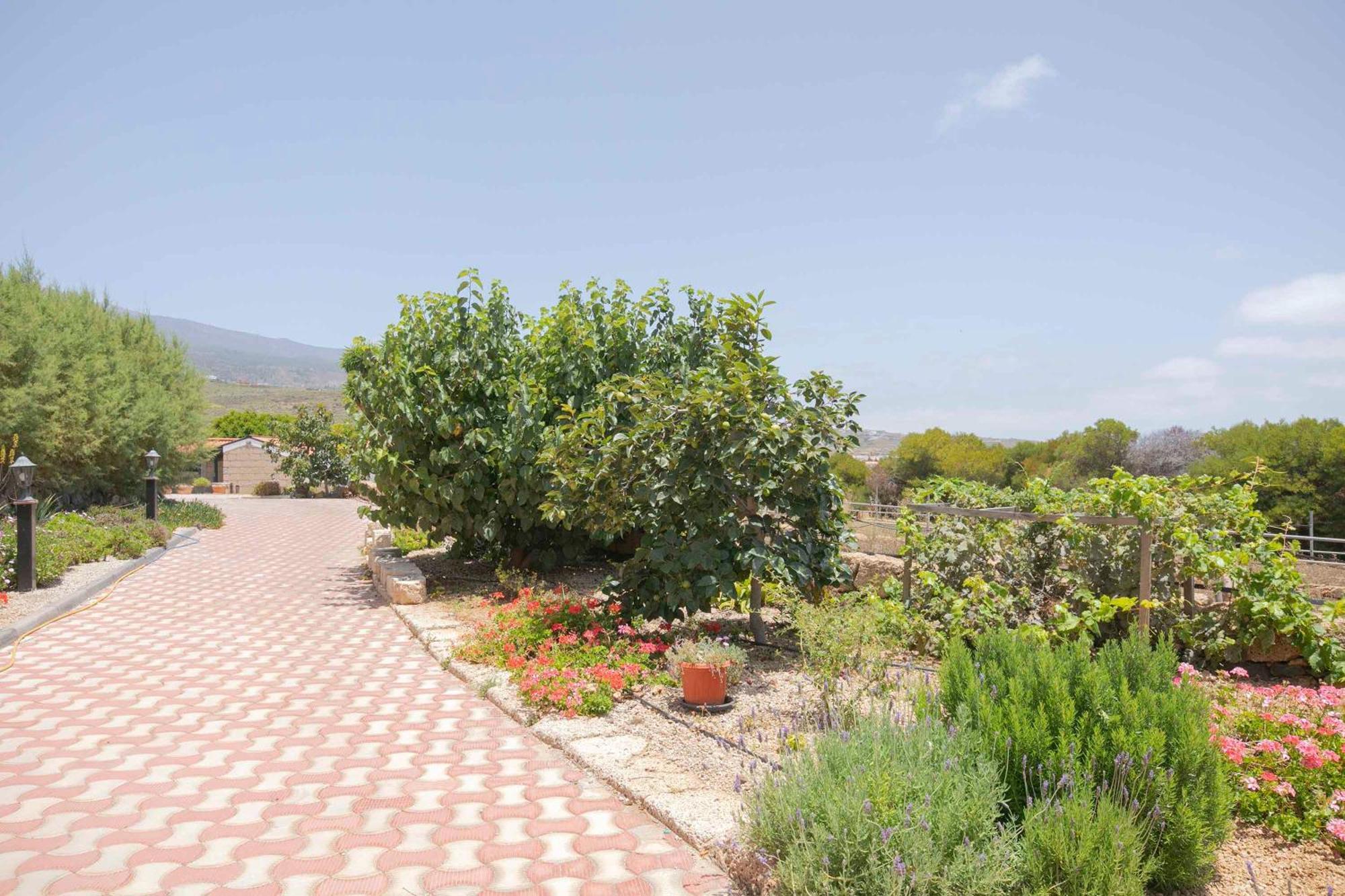 Casa Wayra Villa Granadilla De Abona Exterior photo